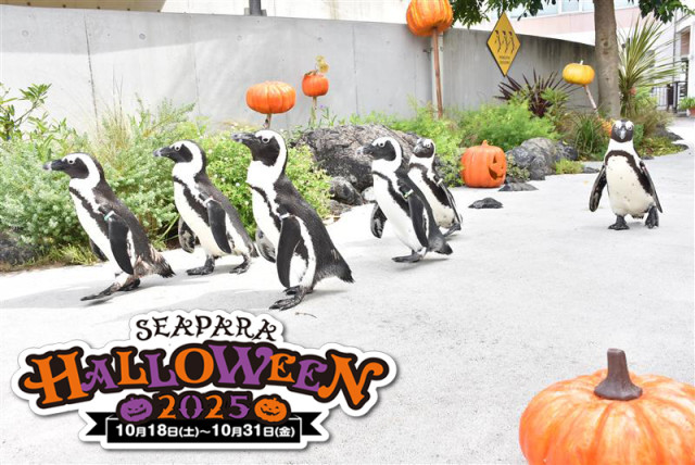 横浜・八景島シーパラダイス　SEAPARA HALLOWEEN 2025